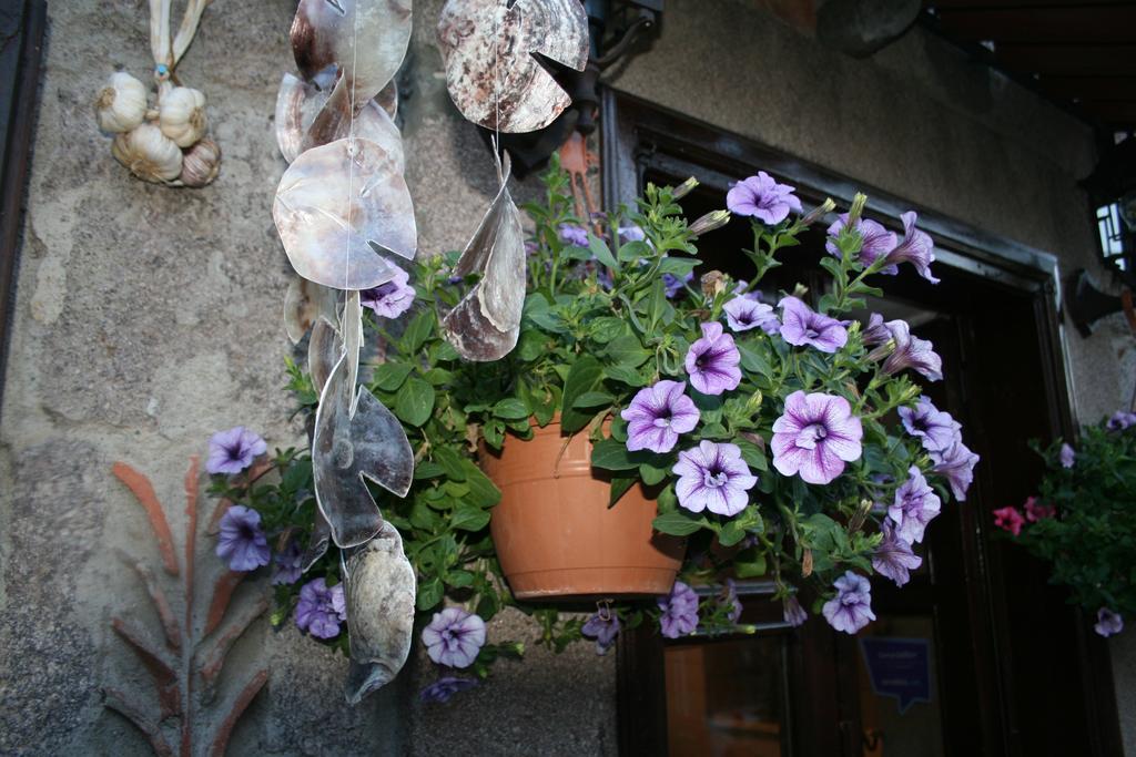 Assos Bohemian Hotel Exterior foto